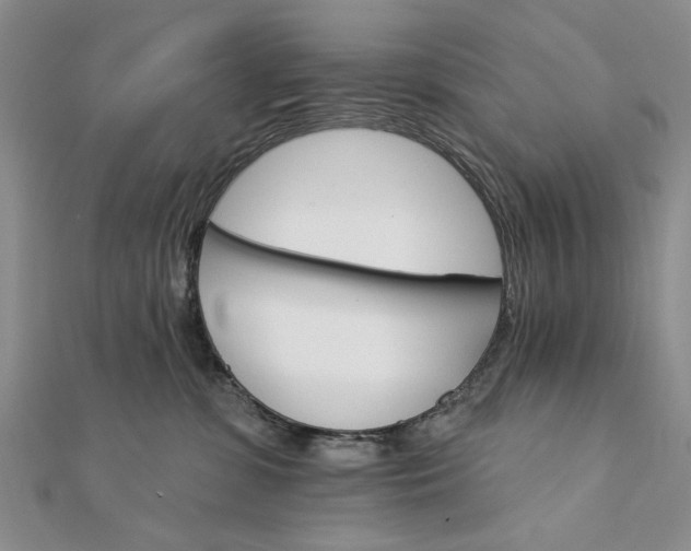 X0000111910331200908101206