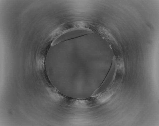 X0000111910332200908101206