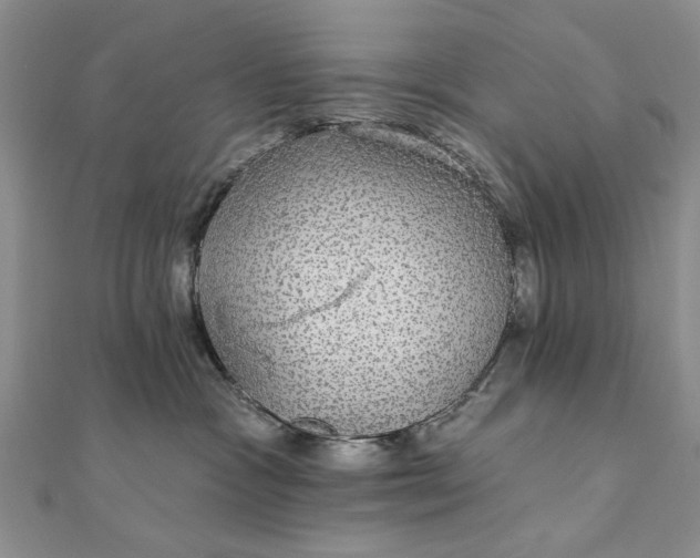 X0000111910333200908101206