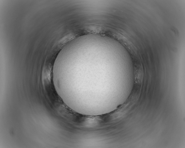 X0000111910334200908101206