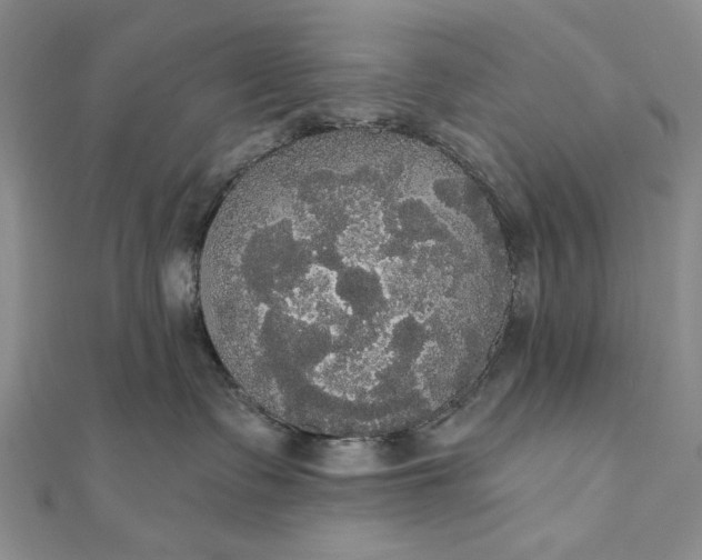 X0000111910335200908101206