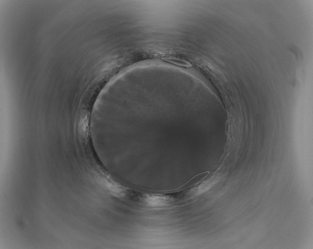 X0000111910336200908101206