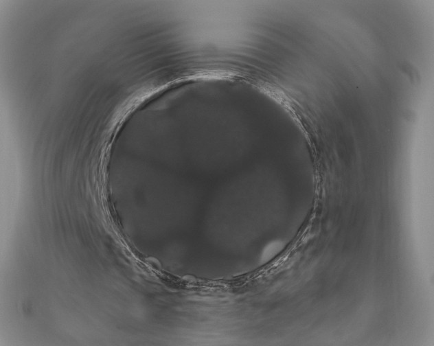 X0000111910337200908101205