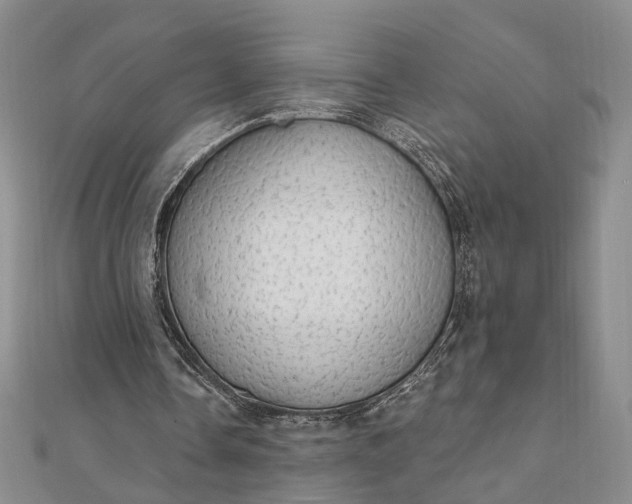 X0000111910338200908101205