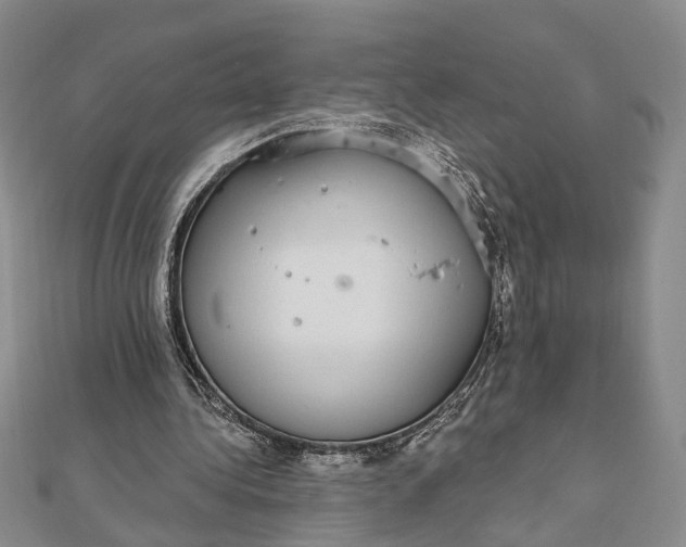 X0000111910340200908101205