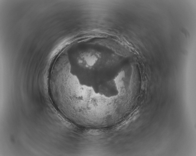 X0000111910341200908101205