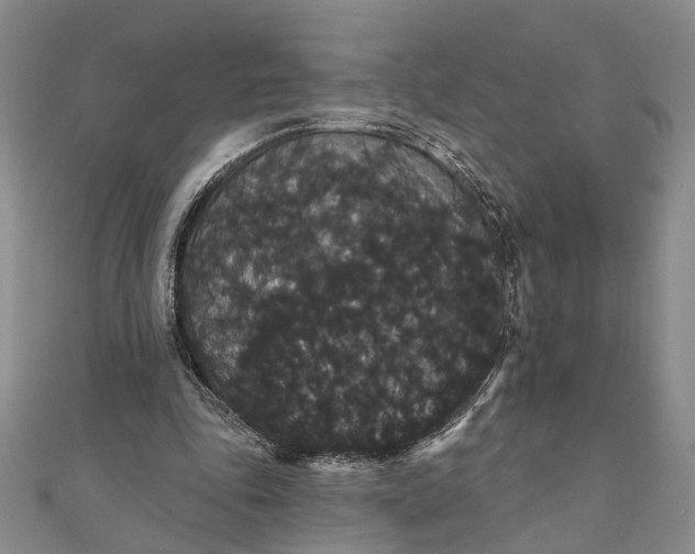 X0000111910343200908101205