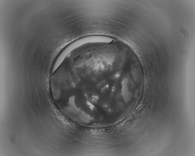 X0000111910345200908101205