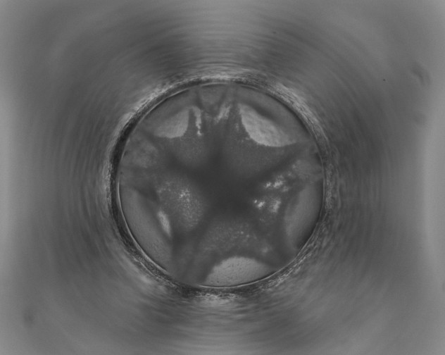 X0000111910346200908101205