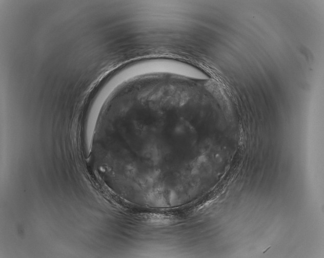 X0000111910347200908101205