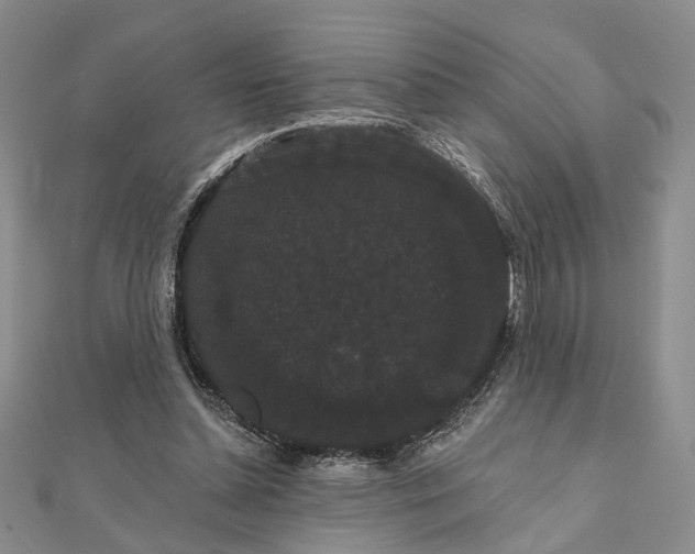 X0000111910348200908101205