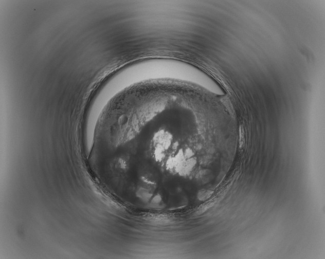 X0000111910349200908101205