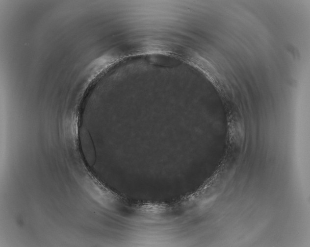 X0000111910350200908101205