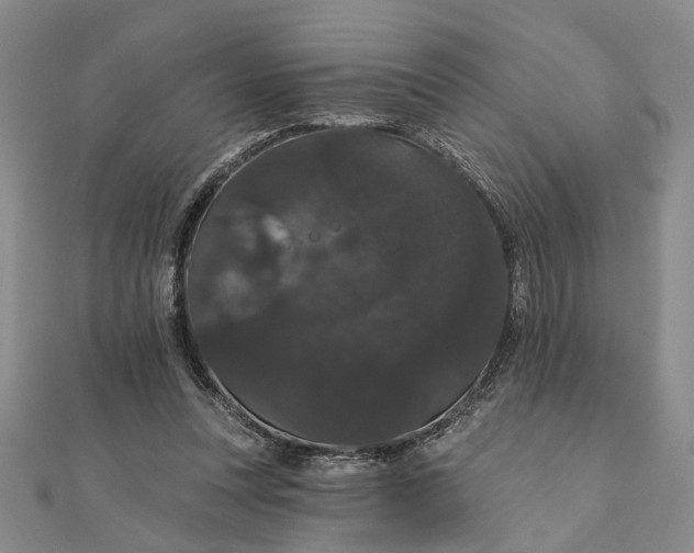 X0000111910351200908101205