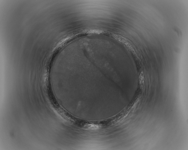 X0000111910352200908101205