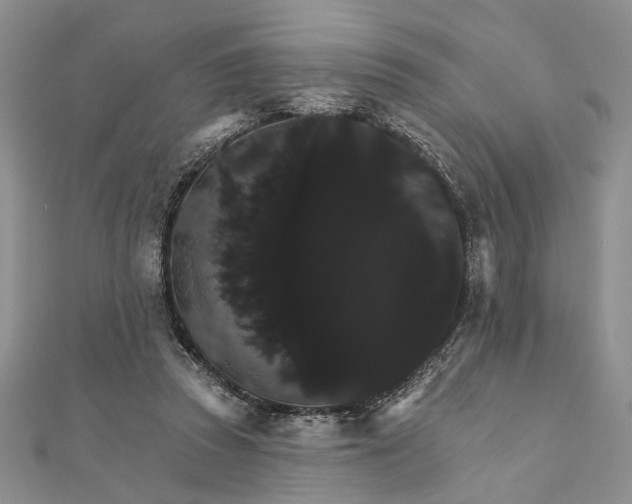 X0000111910353200908101205