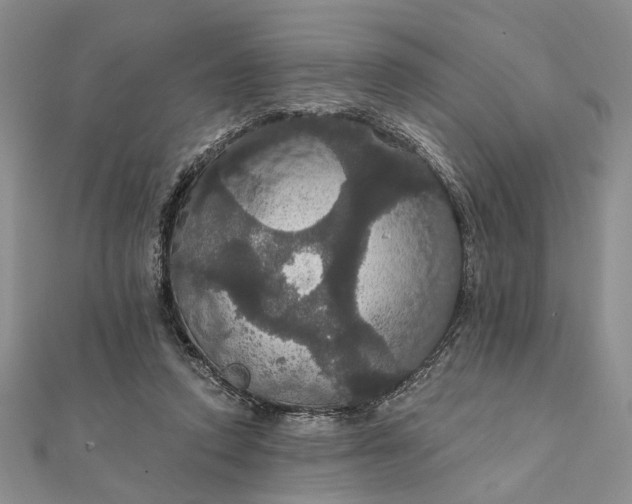 X0000111910354200908101206