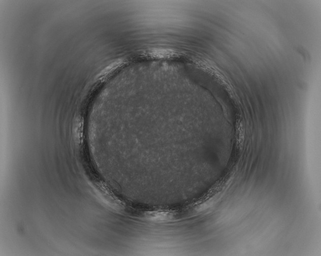 X0000111910356200908101206