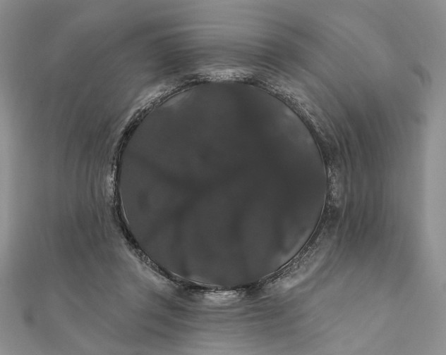 X0000111910357200908101206