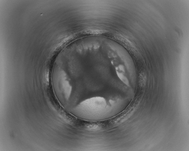 X0000111910358200908101206