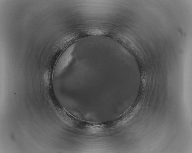 X0000111910359200908101206