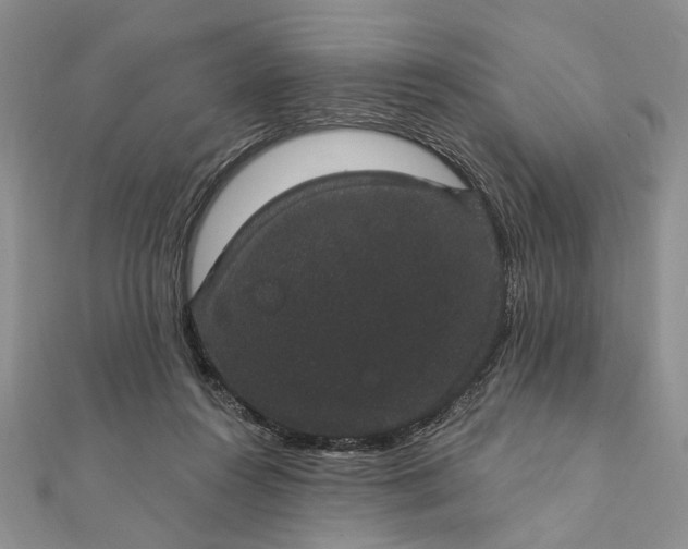 X0000111910360200908101206