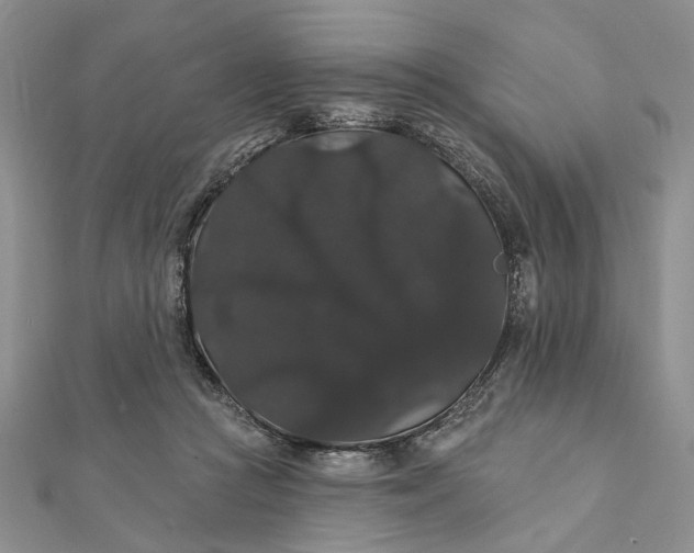 X0000111910361200908101206