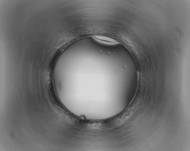 X0000111910362200908101206