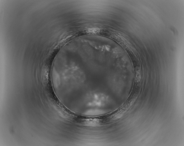 X0000111910363200908101206