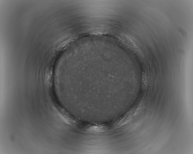 X0000111910364200908101206