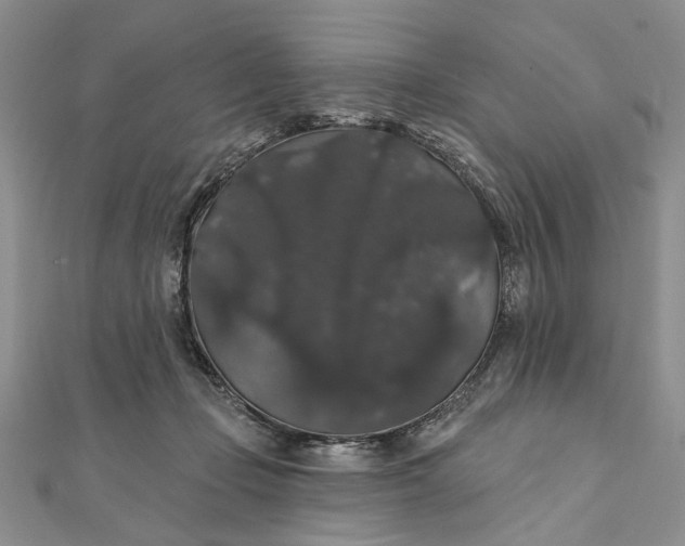 X0000111910365200908101206