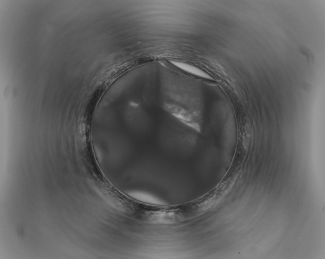 X0000111910366200908101206