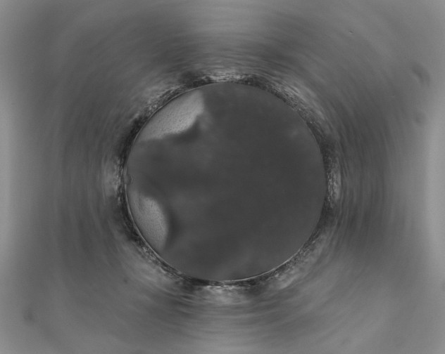 X0000111910367200908101206