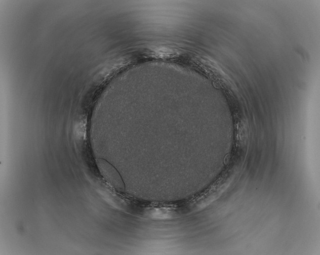 X0000111910368200908101206