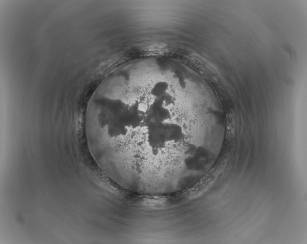 X0000111910369200908101206