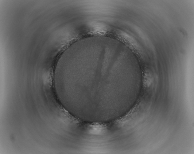 X0000111910370200908101206