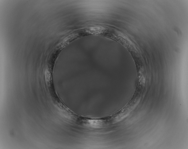 X0000111910371200908101206