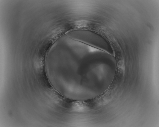 X0000111910372200908101206