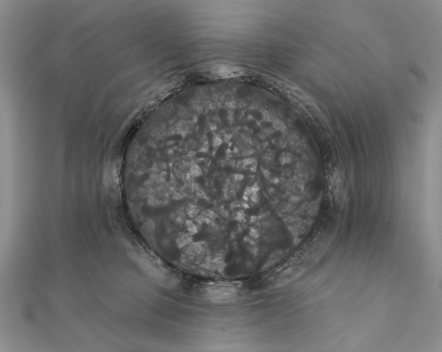 X0000111910373200908101206