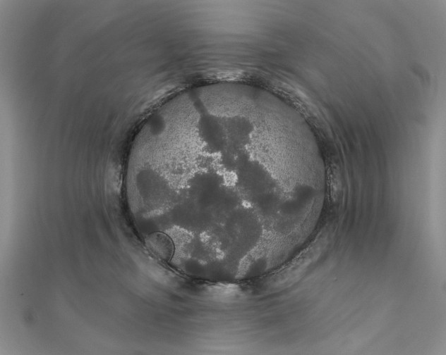 X0000111910374200908101206