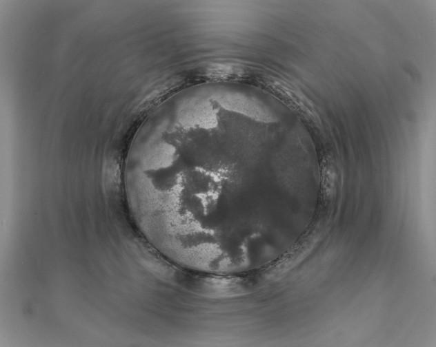 X0000111910375200908101206