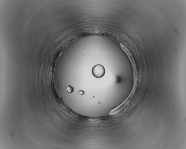 X0000111910376200908101206