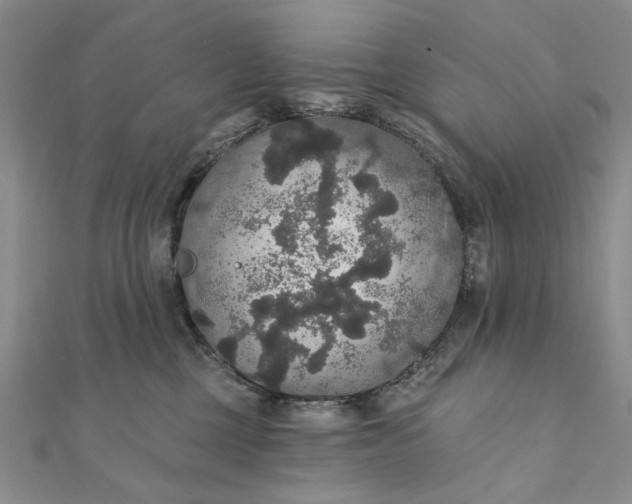 X0000111910377200908101206