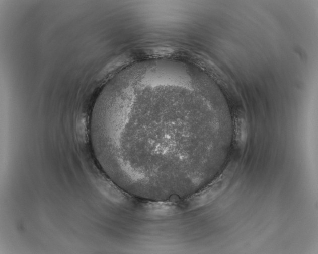 X0000111910378200908101206