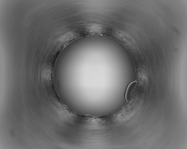 X0000111910379200908101206