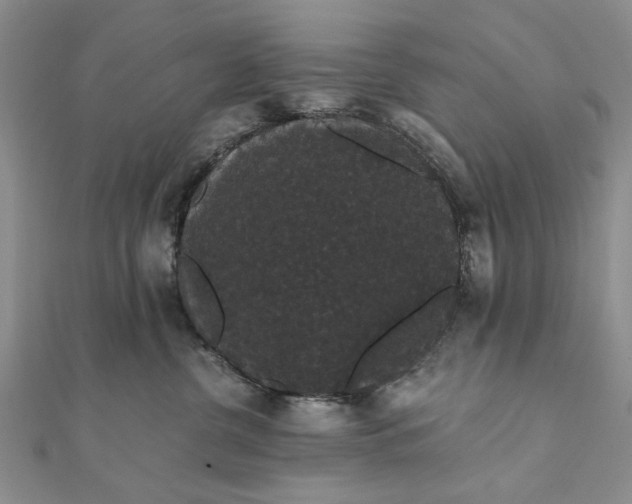 X0000111910380200908101206