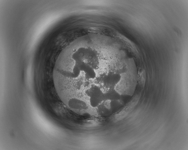 X0000111910381200908101206