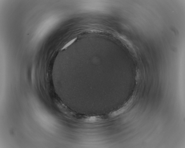 X0000111910382200908101206