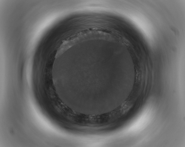 X0000111910383200908101206