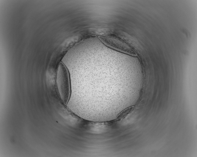 X0000111910384200908101206